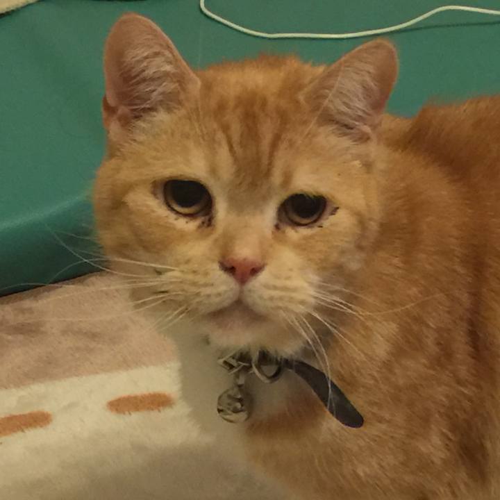 Ce667fce 3360 431a bd13 e2c4c712cbd6 1550244084736