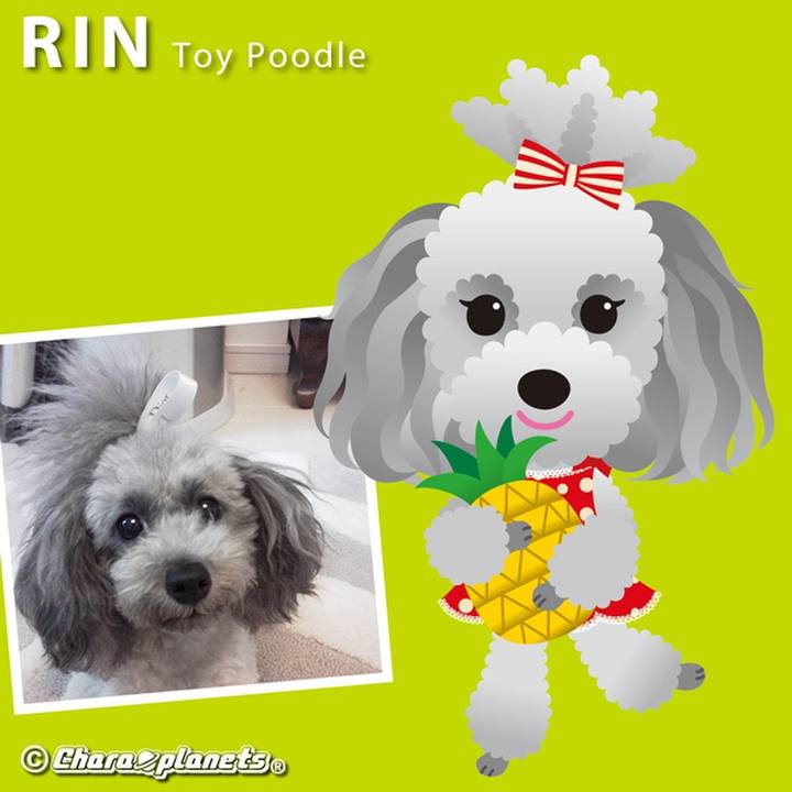 Ce66a964 d386 4f04 97c3 e5bf0497b3bd 1560475192814