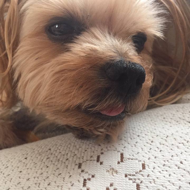 Ce66b2ac 0a9e 4990 82ec 8d1a03e2ea0c 1522037537000