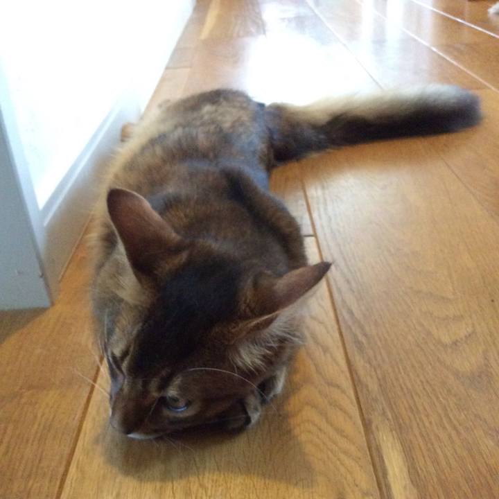 Ce6702eb 7065 451b 8f3e 5fd94718dfe2 1565156896120