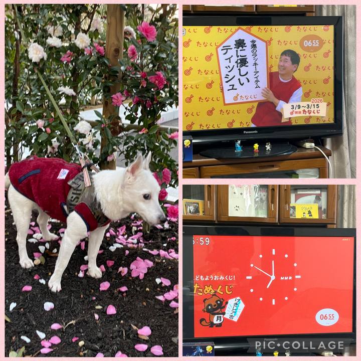 Ce673b34 5089 4120 b6e4 e1e49544c812 1773007717961