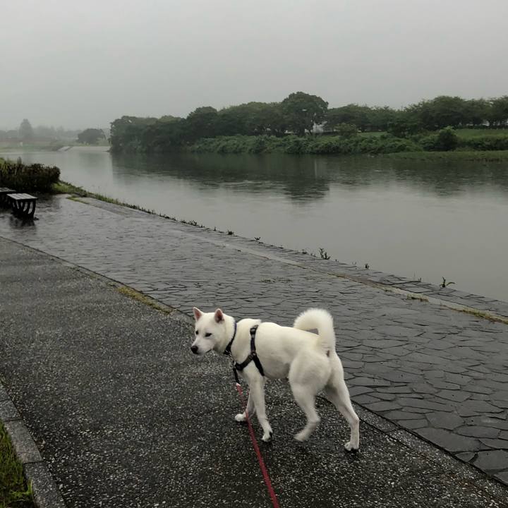 Ce6740a9 6fc9 4fbf 9676 8ed37c5f7eaf 1563060022155