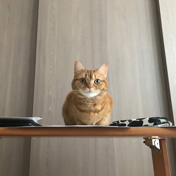 Ce674a13 60b7 4289 8db2 5bcee01d41aa 1527161329690