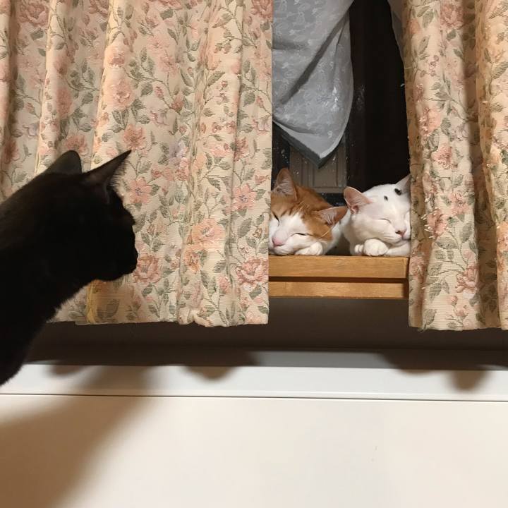 Ce675068 12b7 4e4d a460 0625b49111f9 1578138723177