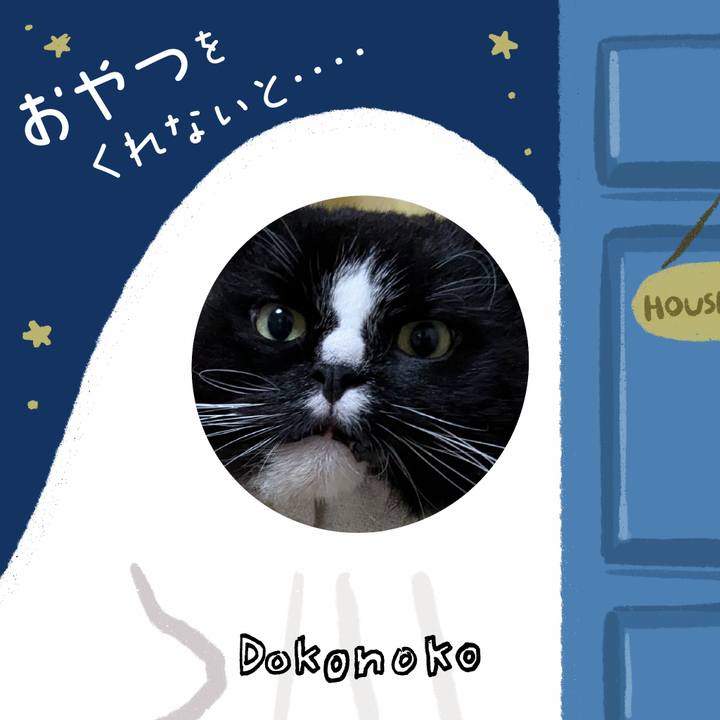 Ce675bc9 8965 4e79 9eff a2c32530013d 1729120834716