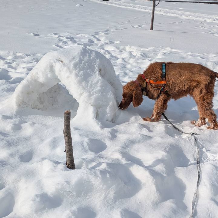 Ce67a047 f799 473e 9afb 389f6160b809 1769611168081