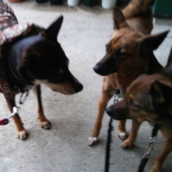 Ce67b0ea ab26 4ba8 8fbb 98415dd358b3 1527040393181