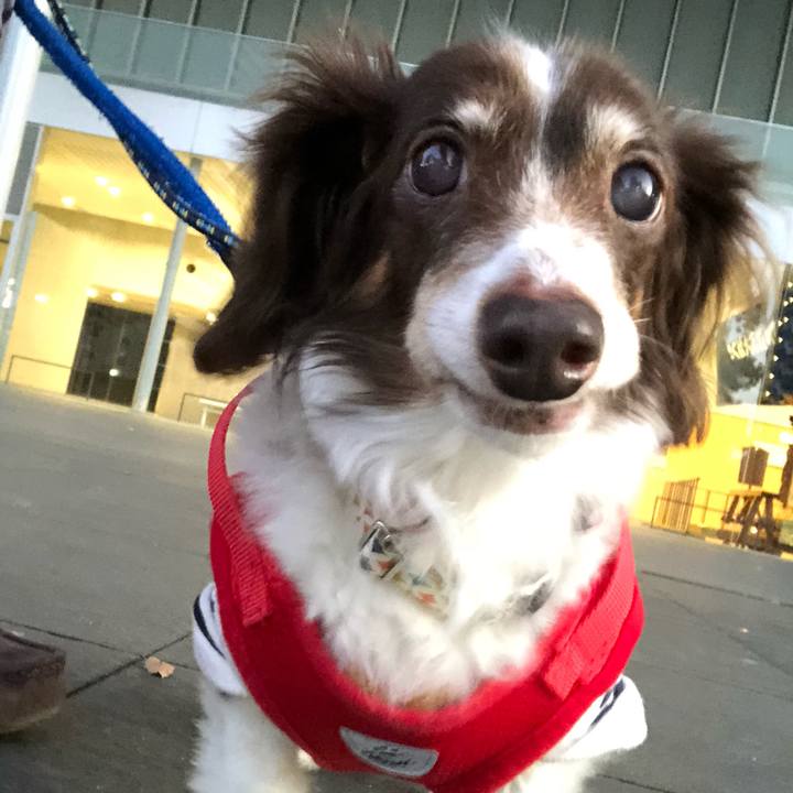 Ce67c360 5598 4e0a bac5 8164fcbc6440 1575791086276