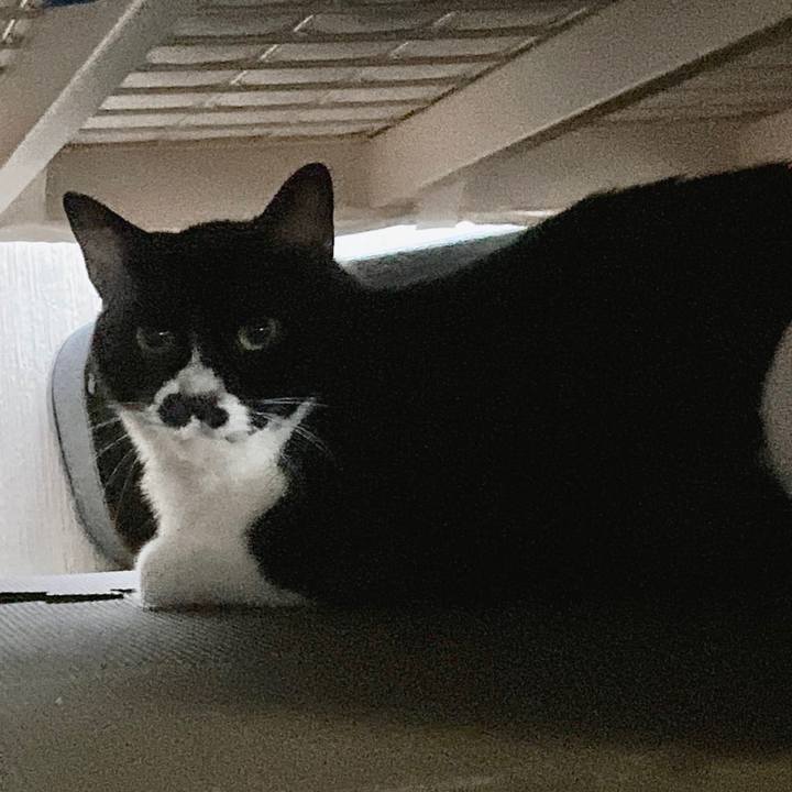 Ce67e2f4 b4ff 4339 9bac 661cde6659a7 1687015666639