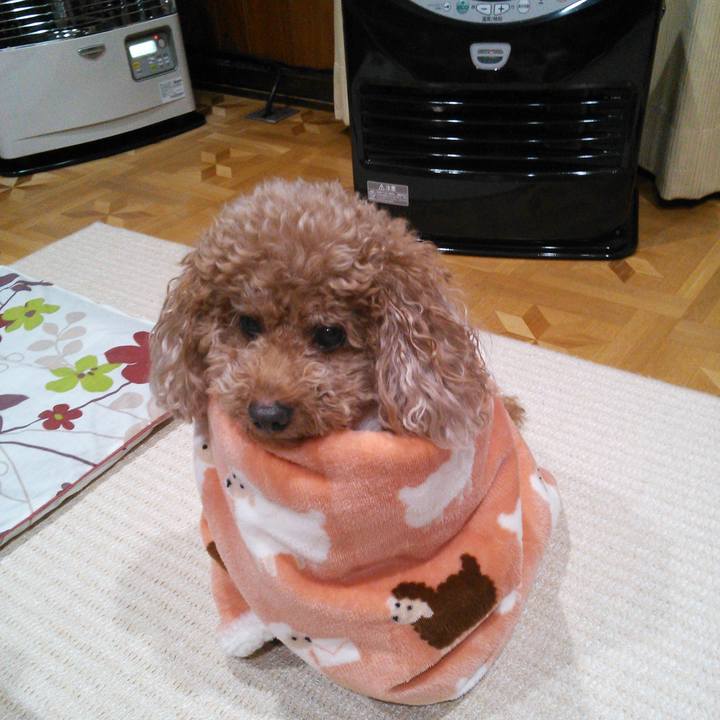 Ce67e91a 253b 40b1 a7e3 836745ac1b11 1539531963356