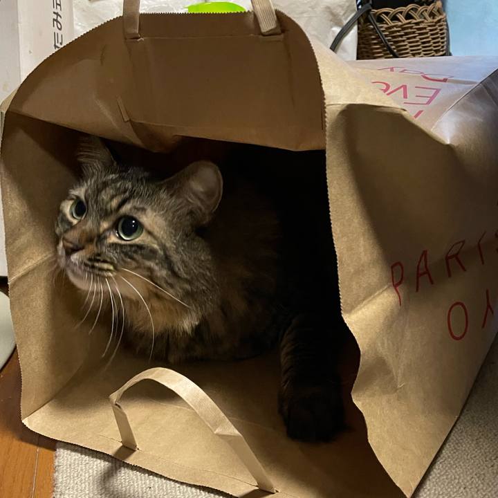 Ce67ee7b 8028 4a54 9dd3 0b9f69844e54 1753087707622