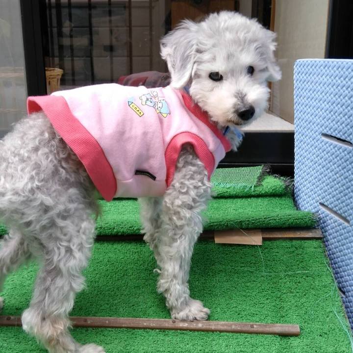 Ce67fb9b 6d69 4fed 8d87 30f0caa96748 1648557751914