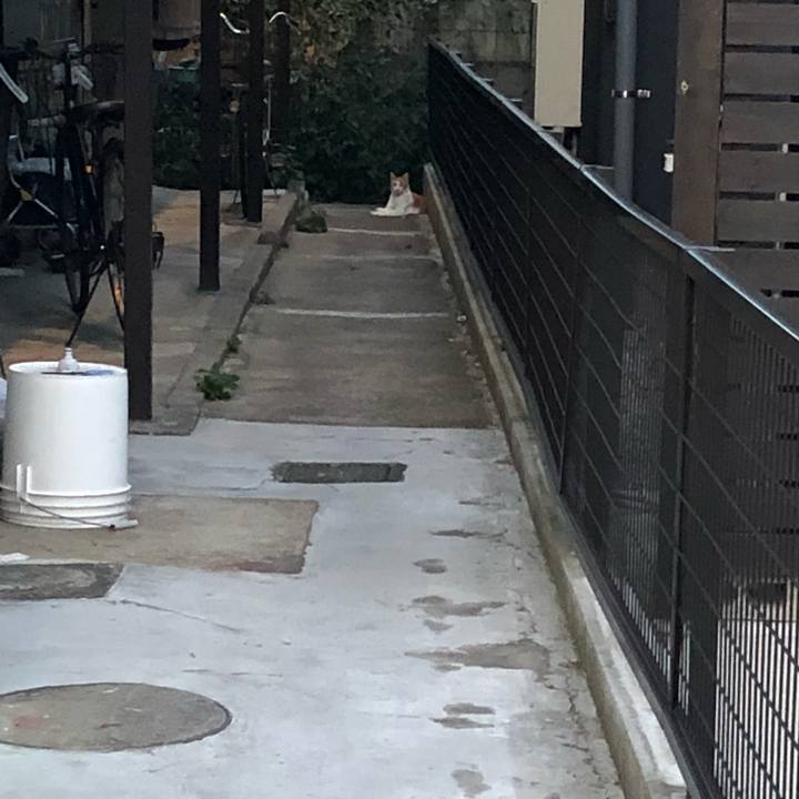 Ce68070e 04df 4c24 bf32 cc4ca894ce72 1536495991907