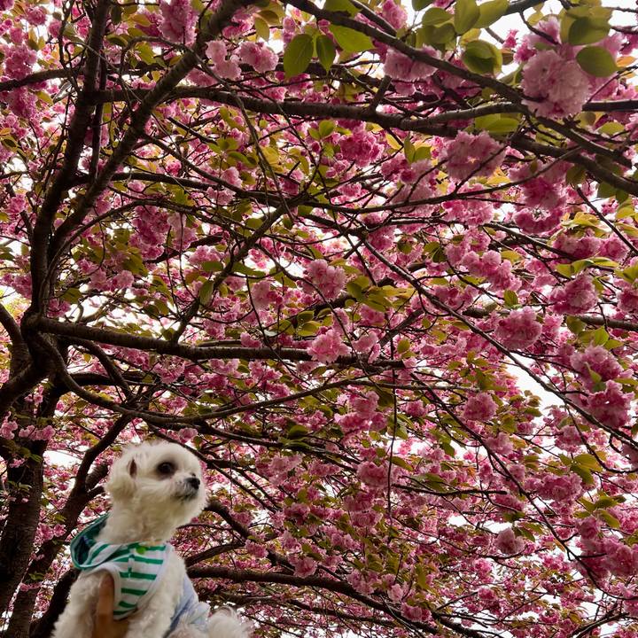 Ce684a3e 7e73 4d25 9cb5 32df115a3265 1650347096658