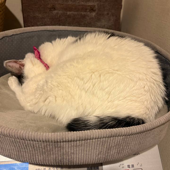 Ce68b170 9258 4130 9fdb 89e01d1f56ea 1771471743805