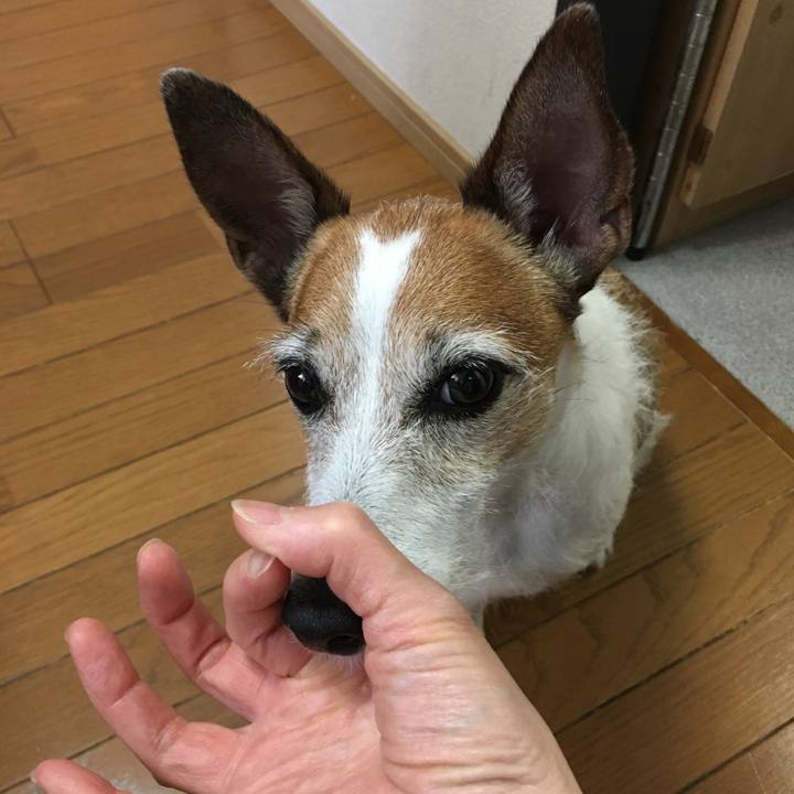 Ce68c664 92e3 4450 9ddd 56f70089acff 1622158891454