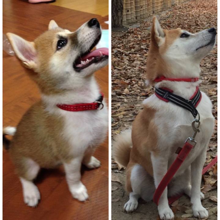 Ce68c9b6 d43c 4fb9 becd 64e49eea5371 1512252476353