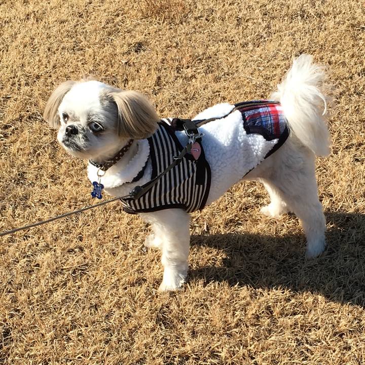 Ce68e3c2 80d2 4d6d bb12 e15ed716f4ef 1548567431651