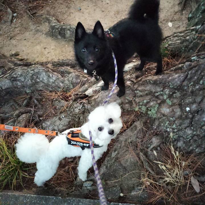 Ce6907f3 e9f2 4e44 9960 a1d1a5894834 1766095451899