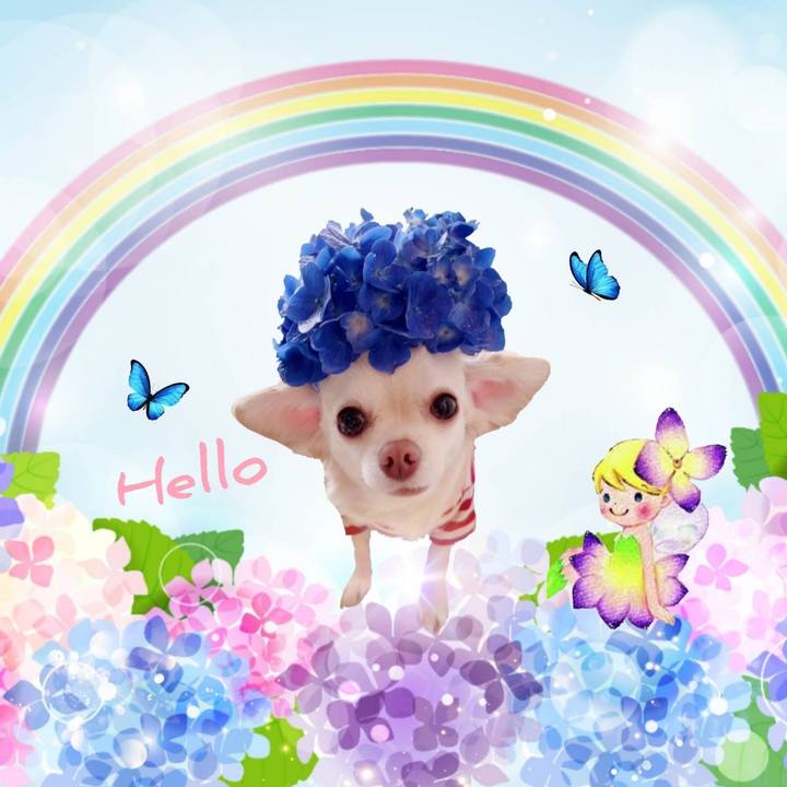 Ce693e29 3465 4f77 80bc c34cc0a812d0 1686543800581