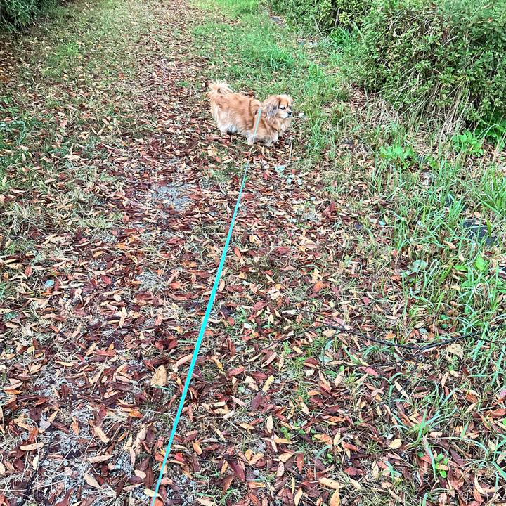 Ce694026 445f 4c63 b8fc a89aef3e88a0 1763070366386