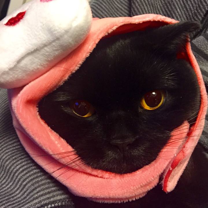 Ce694949 40d8 4a2e 9661 26cd0ff6e189 1520074394311