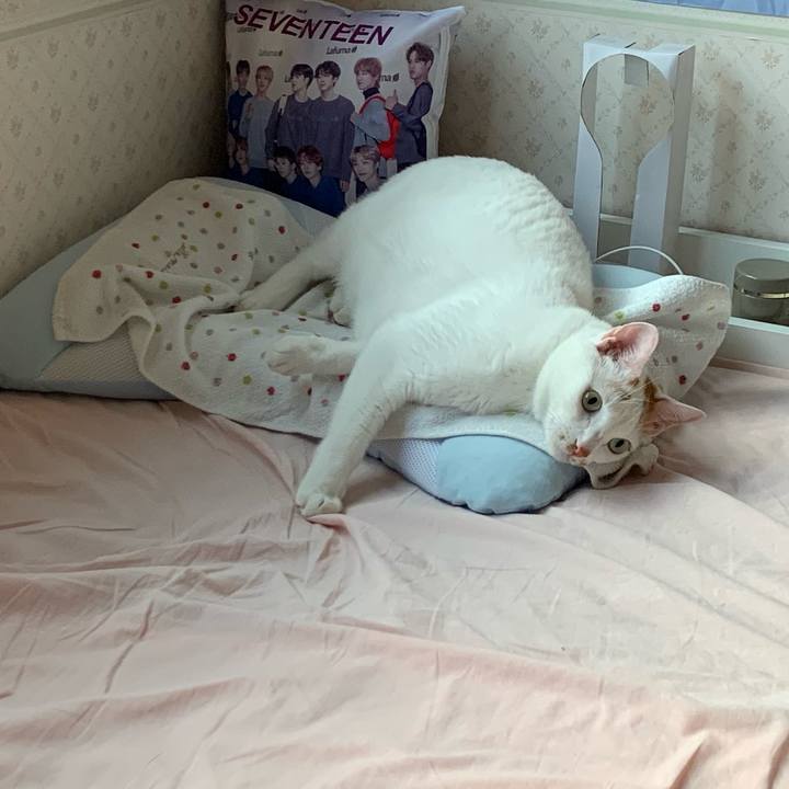 Ce696009 797b 42db 92fc d1f1c9c4b0a4 1598478842191