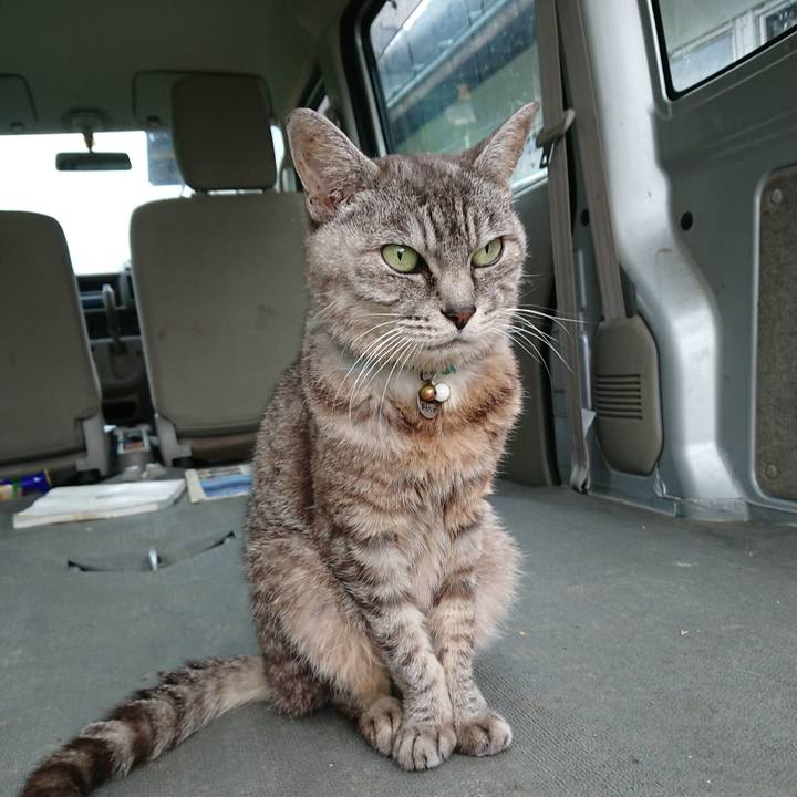 Ce697717 fbf0 4c43 a41d 87883f1da7ad 1568583320890