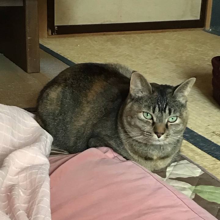 Ce699765 960b 426a bedd ad5664d3c5a1 1678345555053