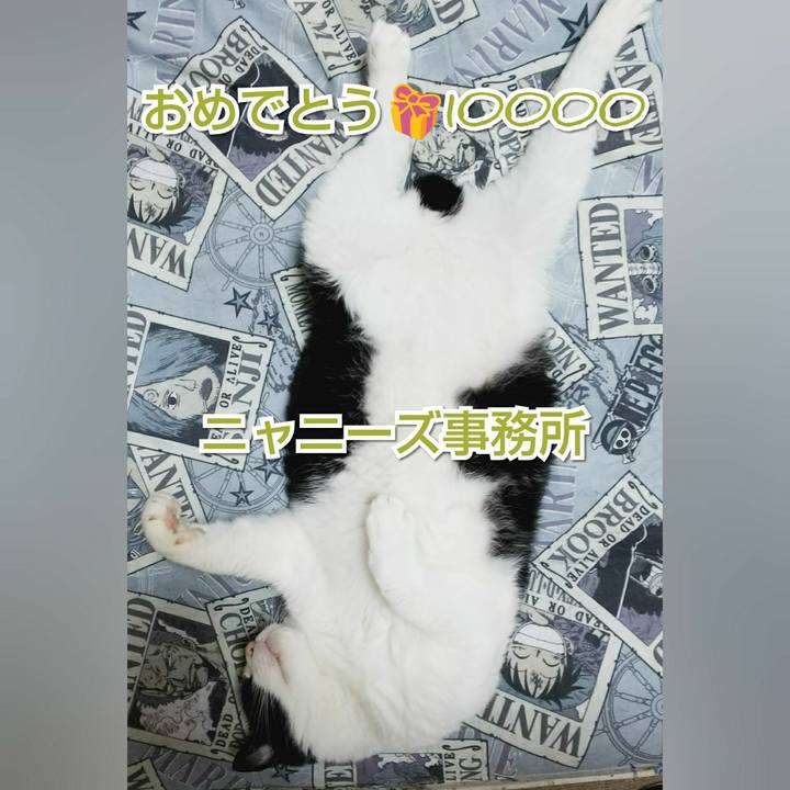 Ce69a8a6 7806 40f0 8c13 ffd048bea7fb 1535019460128