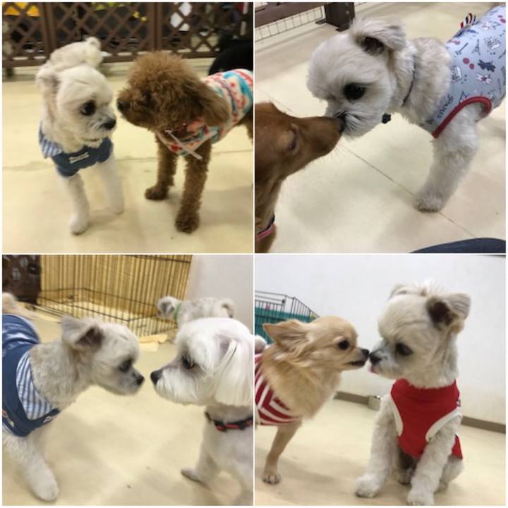 Ce69ac8d 5799 4f89 9b08 e12694b4aa49 1527073775334