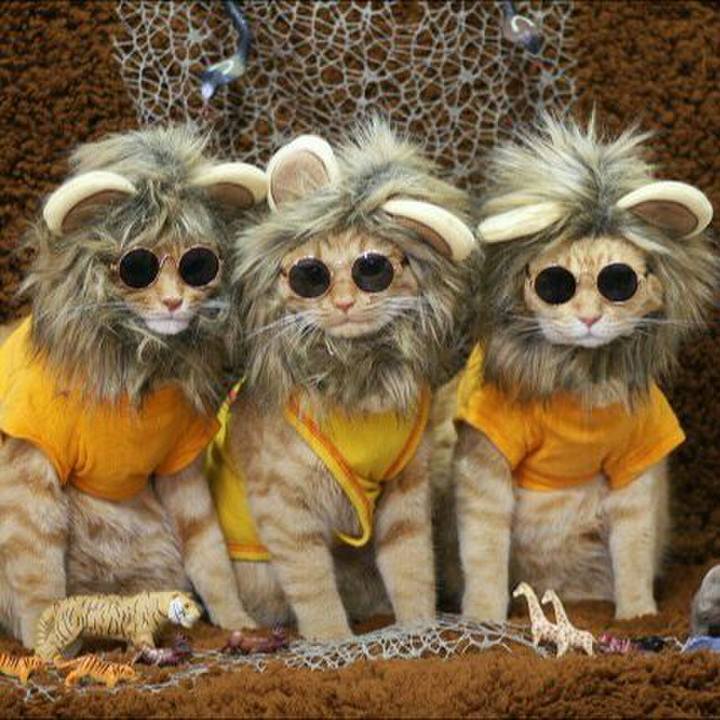 Ce69aeeb 64ad 4b84 a2a7 3f8545eeee80 1566200741329