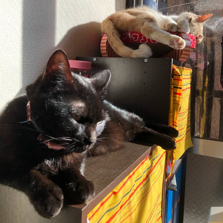 Ce69ce4f aa88 46c6 b319 e4efb1b7490b 1577579462940