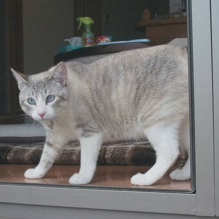 Ce69e58f b120 4ffe a951 45cc7334cef0 1527683956275