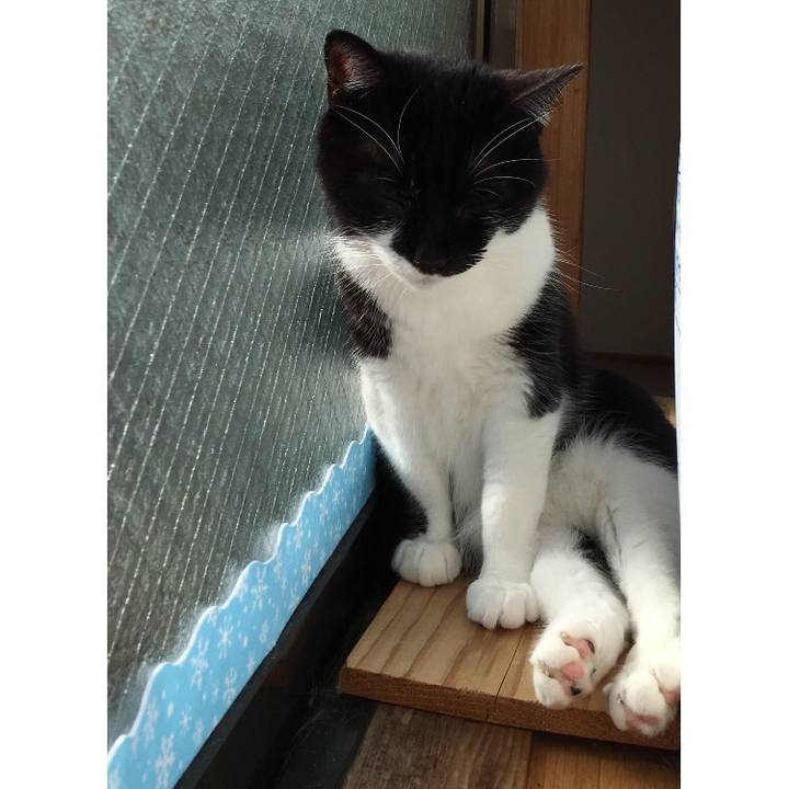 Ce69edaa c513 4de1 9d12 91d9a5543119 1516945166533