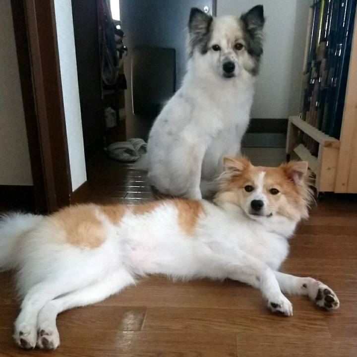 Ce6a01f1 ceac 47e6 870a 1721fbe67c23 1511004073456