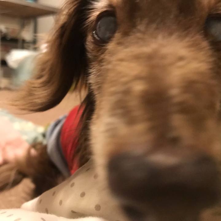 Ce6a170b 568f 4431 b141 f2b3d455c25b 1590191615726