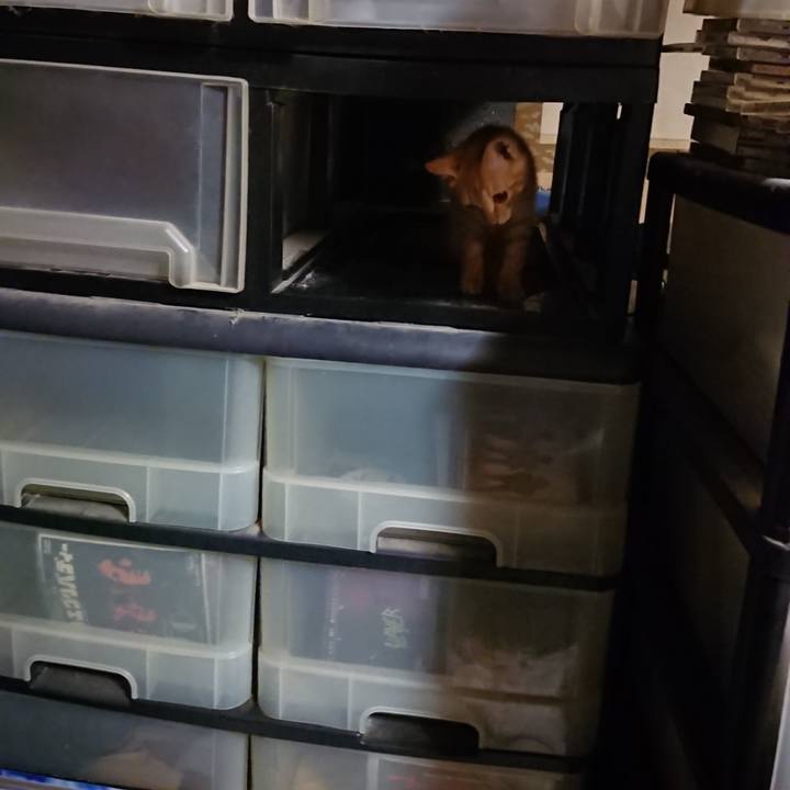 Ce6a3dd4 e702 41f0 83bd d1a00d1adadb 1631189415952