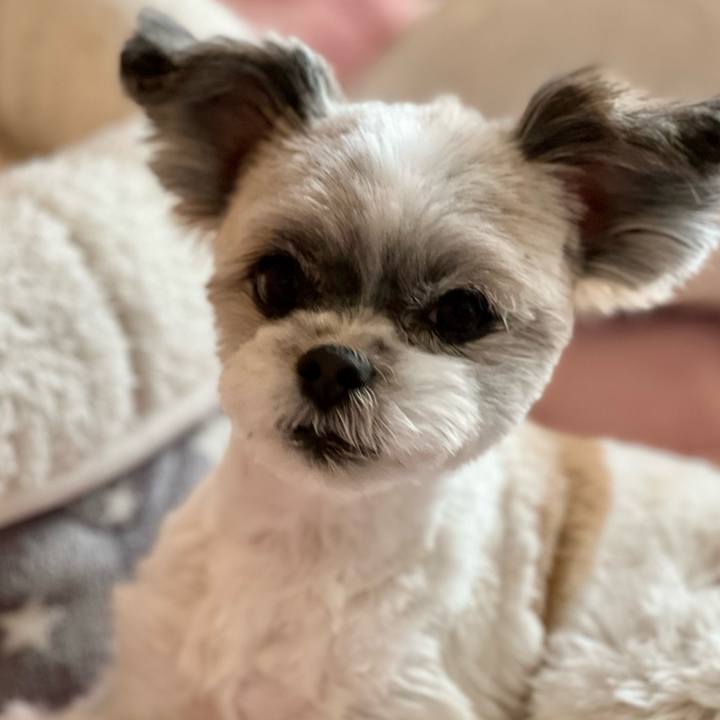 Ce6a3f5a c269 4655 8e3f 35c4833be55c 1640264541957