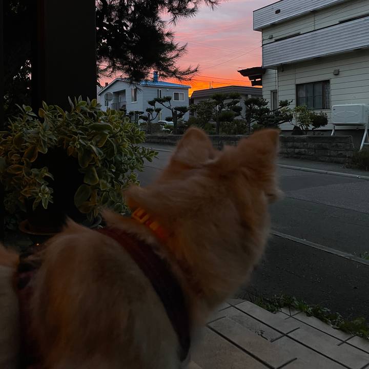 Ce6a512d 54fd 4e71 9d00 cb6b520816be 1757721276594