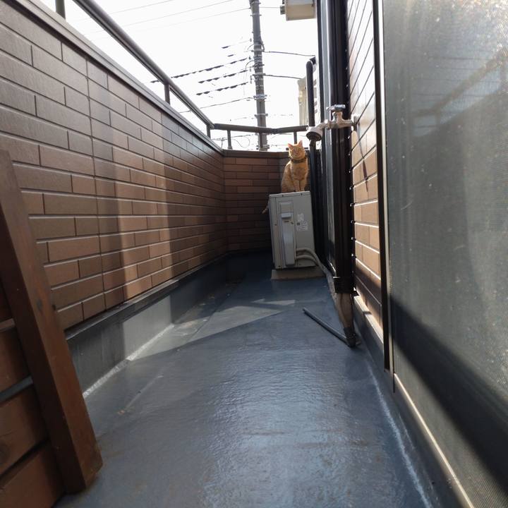 Ce6a93be 3b95 44d3 8c3a 6d020a6c41f7 1646027378648