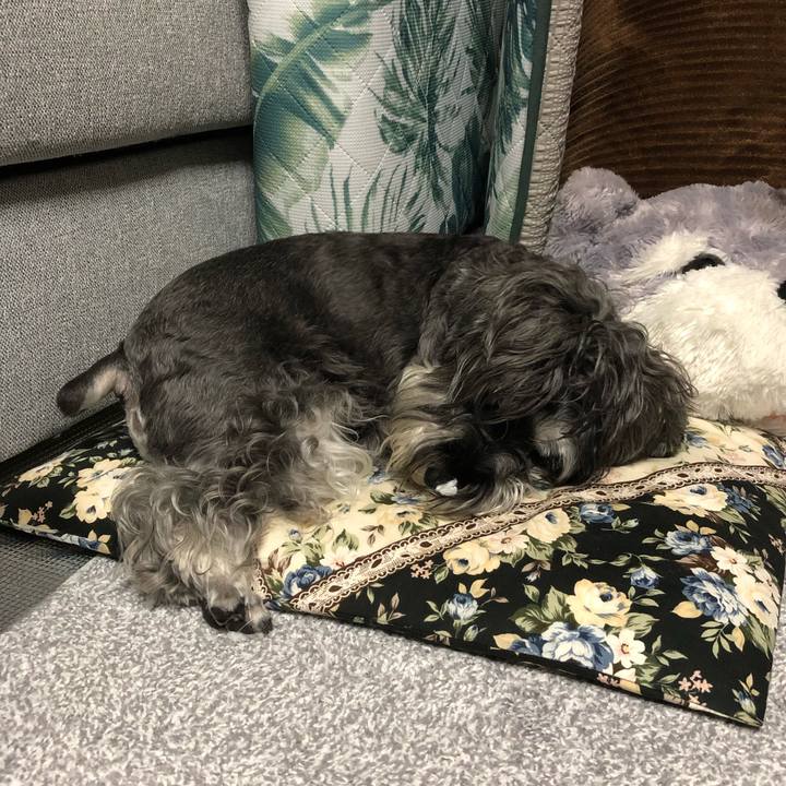 Ce6ac460 d6e1 4b61 8d61 36cf0833963d 1694524596752