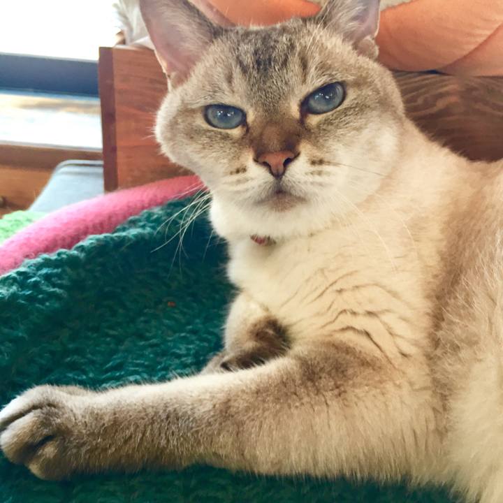 Ce6afdb8 6e04 4cbd ac8f 85c94ec7cf46 1564814040919