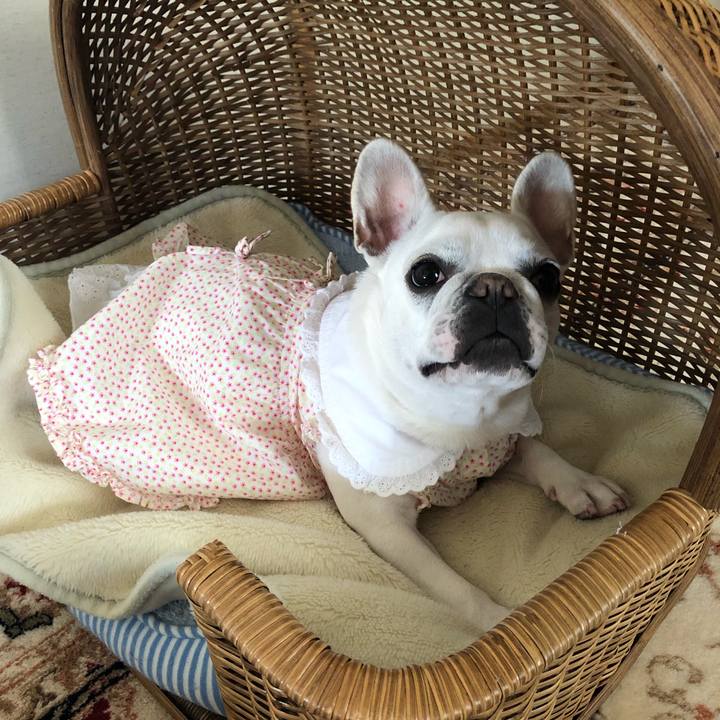 Ce6b12b2 d5d1 446d ac01 811a4d423e9c 1554601999769