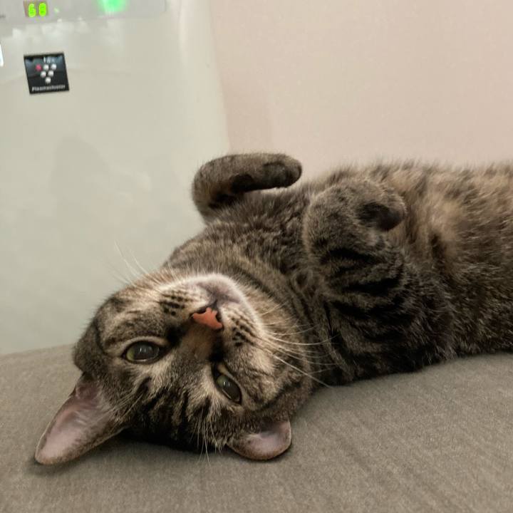 Ce6b268f 5ebc 47c4 9db8 84e3f6cf9c33 1597012850679