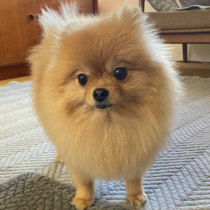 Ce6b6ab0 de6f 4a9b 8eb3 e681252592e1 1764763854475