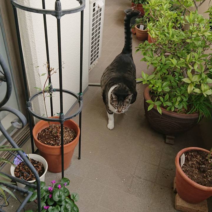 Ce6b9136 93f3 409f bd08 0c6e869c03e9 1553728264447