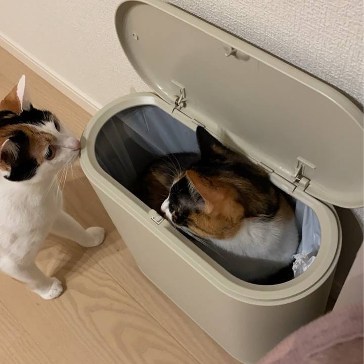 Ce6b91da 4342 4c7d 9afa 263926a9e98e 1771055129687