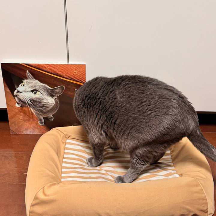 Ce6b9870 472a 4b42 b16a 2ebaae280ed9 1761299642983