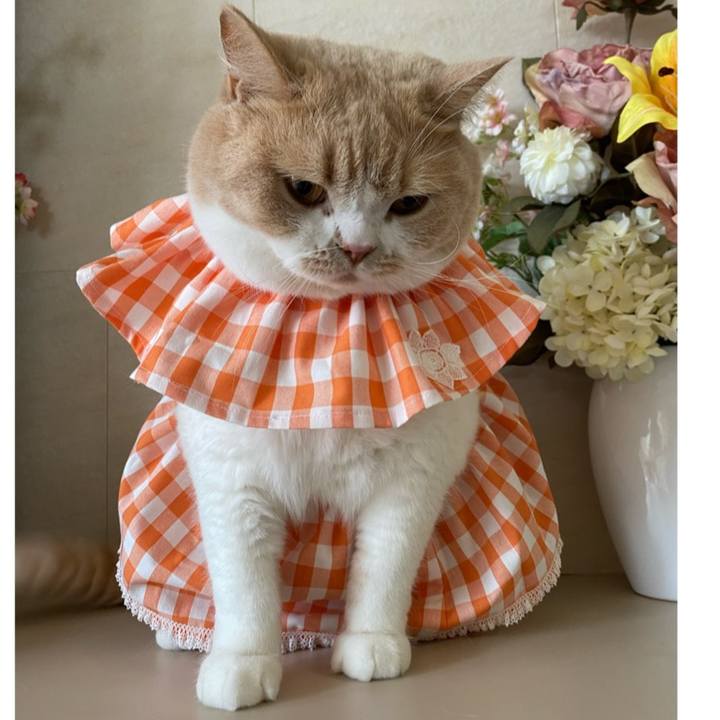 Ce6baf5c 9713 4c5d 8d0c fd9ff56b3c0a 1601872989345